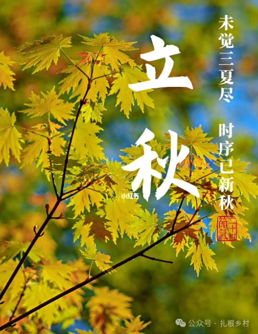 2025年3月 第31页